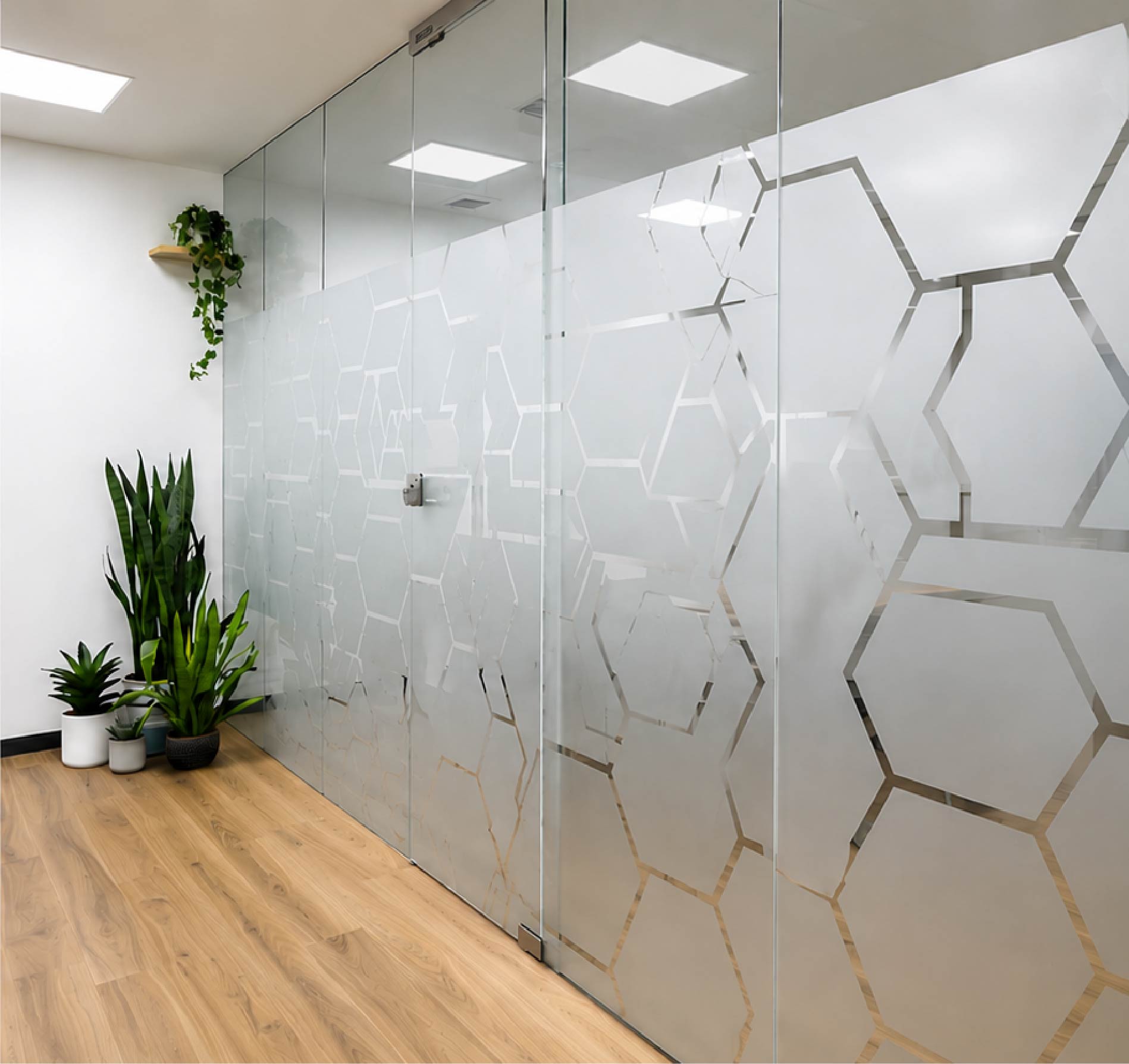 Frosted privacy window graphics for offices and clinics